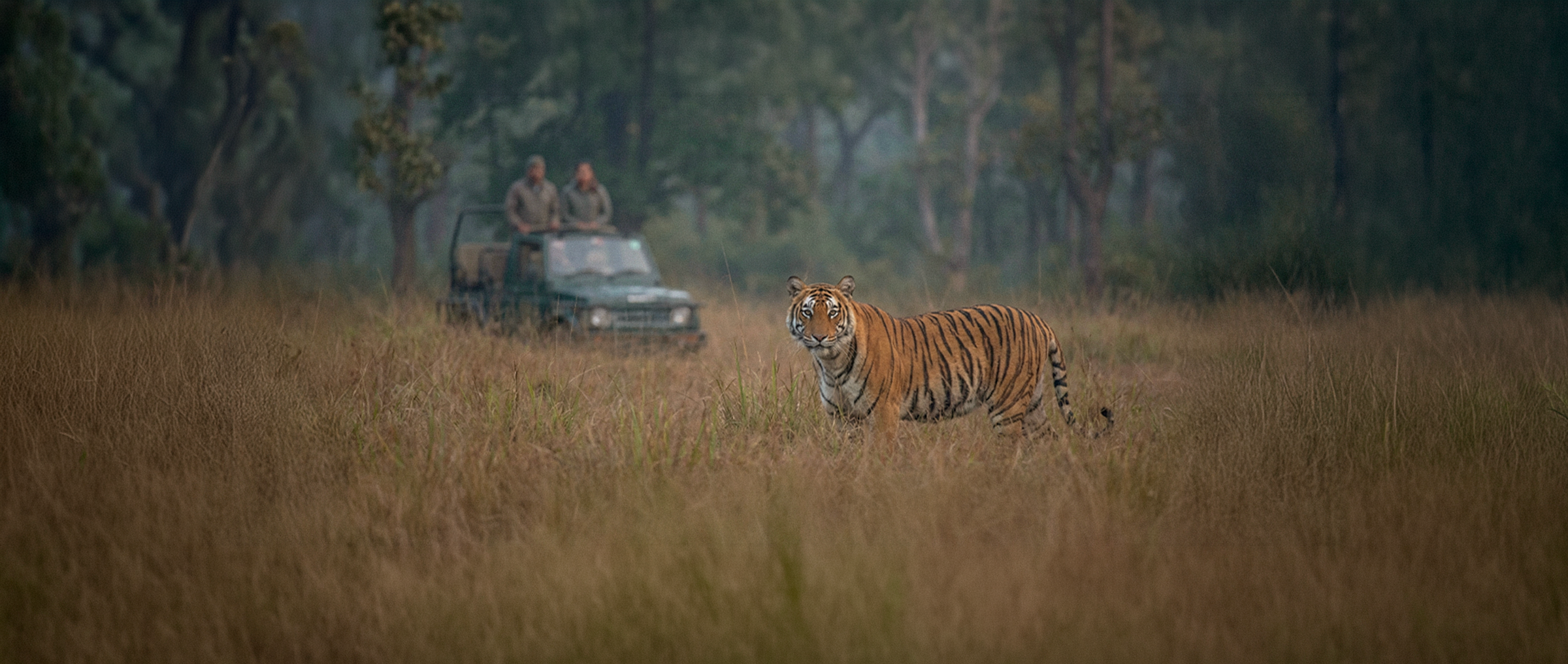 Into the wilds of Pench