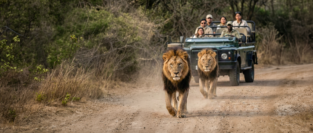 Masai Mara National Park