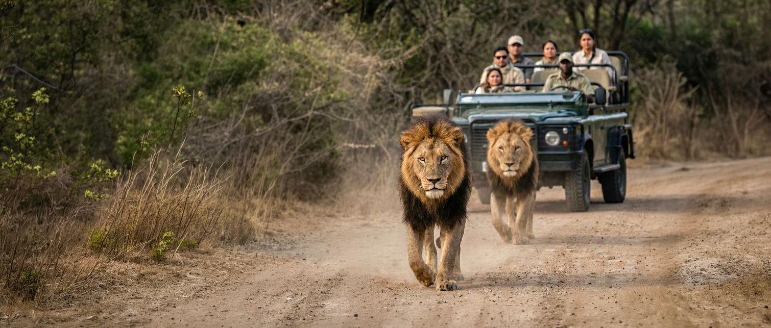 Masai Mara National Park