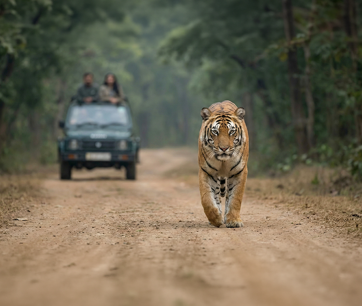 Corbett National Park